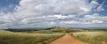 dairy farmers sky 2
